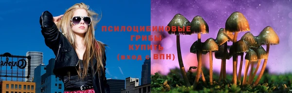 альфа пвп Армянск