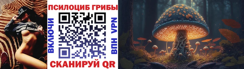 darknet Telegram  Николаевск  Галлюциногенные грибы мухоморы  mega как войти 
