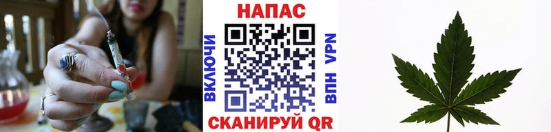 Каннабис гибрид  Николаевск 